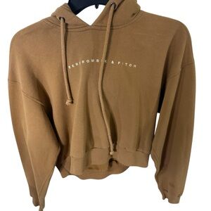 Abercrombie & Fitch Tan Hoodie